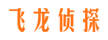 陆河寻人公司